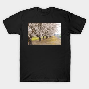 Blooming Almonds T-Shirt